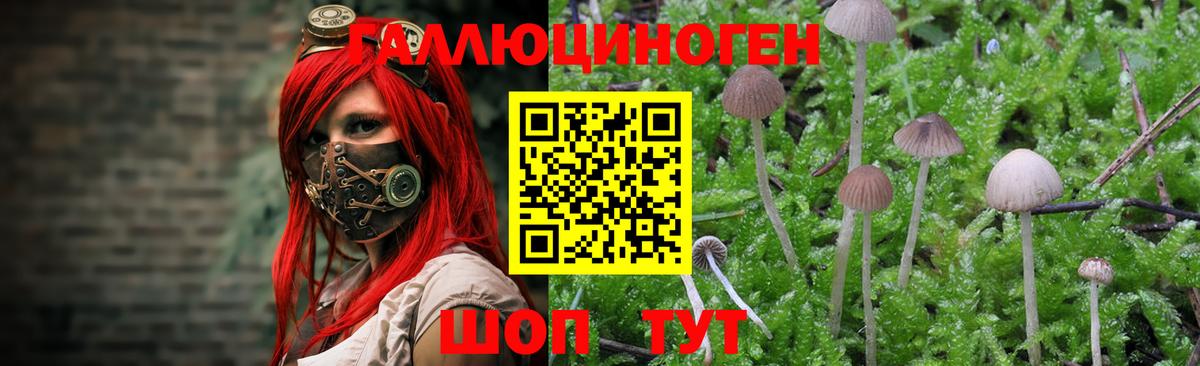Ивантеевка  Псилоцибиновые грибы ЛСД  Галлюциногенные грибы прущие грибы  Вход с VPN 